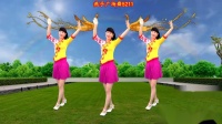 广场舞《凤凰飞》演唱 乌兰图雅