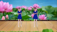 动感DJ广场舞《谁家的姑娘》背面演示分解