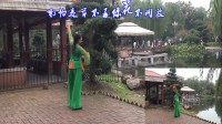 广场舞《绿叶》一支中三舞