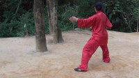 陈氏太极拳老架一路（陈丽仙背面演示）下载
