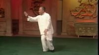 杨氏太极拳103式教学下载