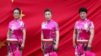 东北大鼓《绣红旗》