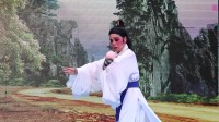 艺良歌仔戏《百花江》3