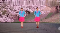 入门级广场舞《你是我永远的痛》好听好看 