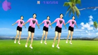 入门广场舞教学《梦里的姑娘》32走步舞