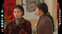庐剧现代戏《偏心的妈妈》宽屏版 3