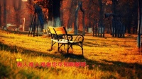 淮剧《周仁献嫂》选段《哭坟》