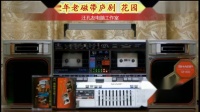 磁带庐剧《花园扎枪》选段 宽屏版 合肥庐剧