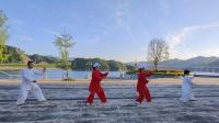 杨式太极拳40式传统练法下载