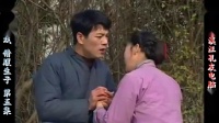 庐剧现代戏《借腹生子》宽屏版 5 选段下载