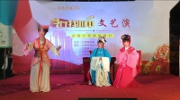 扬剧《碧玉簪》选场《母女会》下载