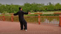 陈式心意混元太极拳24式下载