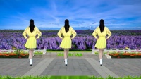 广场舞《甜蜜蜜》20步演示分解