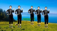 广场舞《是谁再画》动感舞姿 瘦身美体跳出