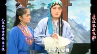 庐剧《人家儿子靠不住》宽屏版 5