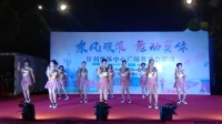 广场舞《七秒记忆串我就是自己》园南慧玲舞