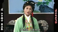 庐剧《江中得子》宽屏版 5