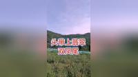 秦腔伴奏《打金枝》