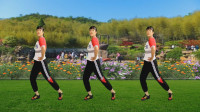 中老年健身操《痴心换情深DJ》快速瘦全身 夏季减肥必备下载