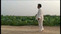 杨氏太极拳85式分解教学（下）下载