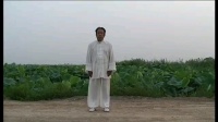 杨氏太极拳85式分解教学（上）下载
