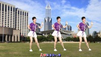 广场舞《宝贝你最美》附教学下载