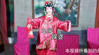粤剧《状元试妻》片段 媒婆九婶为朱公仔说