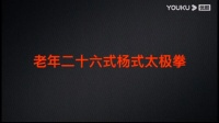 杨氏太极拳基本功法讲解老年二十六式太极拳教学(杨军)下载
