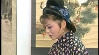 庐剧《借腹生子》2 真正宽银幕