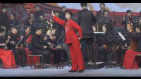 现代扬剧《党的女儿  李银江选段》江苏省演