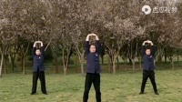 易筋经精华六式养生功