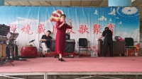 评剧《王少安赶船》选段