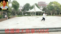 杨露禅太极拳108式下载