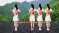 DJ版广场舞《断情散》附教学下载