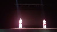 蒲剧《卧虎令》上集  平陆县蒲剧团