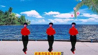 情歌广场舞《爱到流泪谁的罪》歌美舞美