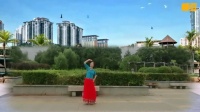 花与影广场舞《梅里爱的见证》