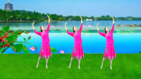 广场舞《芦花美》优美三步醉人舞步轻盈飘逸