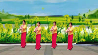红歌广场舞《麦浪滚滚闪金光》舞姿优美