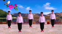 广场舞《千万个对不起》