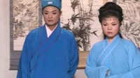 庐剧《防人之心不可无》1总六集