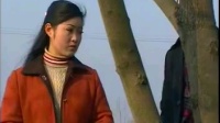现代庐剧《换亲》1总六集公开版