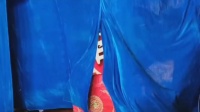 满堂红花鼓戏《白虎山》