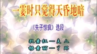 曲剧《失子惊疯》一霎时只觉得天昏地暗下载