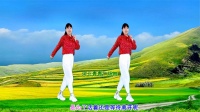 DJ广场舞《多年以后》32步附教学下载