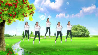 DJ广场舞《相思桃花雨》旋律醉人 舞蹈醉心