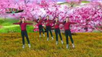 DJ广场舞《拈花一笑》刮油平肚子一跳就上瘾