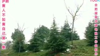 庐剧《害人不如害害己》第一集 总六集