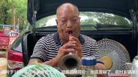 唢呐大咖演奏豫剧《赵铁贤哭坟》悲情唢呐