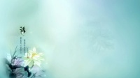 舞动青春广场舞《究竟是为什么》